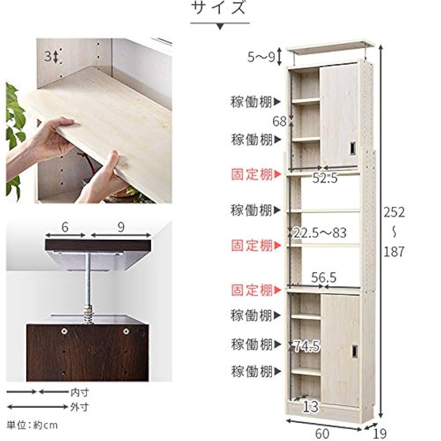 Amazon｜ワイエムワールド 本棚 突っ張り 引き戸 シアトル 幅60